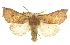  ( - CCDB-20823-B06)  @11 [ ] CreativeCommons - Attribution (2013) CBG Photography Group Centre for Biodiversity Genomics