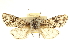  ( - CCDB-20823-D07)  @11 [ ] CreativeCommons - Attribution (2013) CBG Photography Group Centre for Biodiversity Genomics
