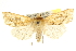  ( - CCDB-20823-F11)  @12 [ ] CreativeCommons - Attribution (2013) CBG Photography Group Centre for Biodiversity Genomics
