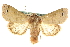  ( - CCDB-20823-G07)  @11 [ ] CreativeCommons - Attribution (2013) CBG Photography Group Centre for Biodiversity Genomics