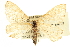  ( - CCDB-20824-C07)  @14 [ ] CreativeCommons - Attribution (2013) CBG Photography Group Centre for Biodiversity Genomics