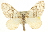  ( - CCDB-20824-C11)  @14 [ ] CreativeCommons - Attribution (2013) CBG Photography Group Centre for Biodiversity Genomics