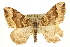  ( - CCDB-20824-E06)  @14 [ ] CreativeCommons - Attribution (2013) CBG Photography Group Centre for Biodiversity Genomics