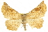  ( - CCDB-20824-F02)  @15 [ ] CreativeCommons - Attribution (2013) CBG Photography Group Centre for Biodiversity Genomics