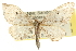  ( - CCDB-20824-F05)  @14 [ ] CreativeCommons - Attribution (2013) CBG Photography Group Centre for Biodiversity Genomics