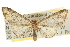  ( - CCDB-20824-G02)  @14 [ ] CreativeCommons - Attribution (2013) CBG Photography Group Centre for Biodiversity Genomics