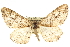  ( - CCDB-20824-H03)  @14 [ ] CreativeCommons - Attribution (2013) CBG Photography Group Centre for Biodiversity Genomics