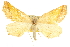  ( - CCDB-20825-B08)  @13 [ ] CreativeCommons - Attribution (2013) CBG Photography Group Centre for Biodiversity Genomics
