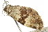  ( - CCDB-20825-C09)  @13 [ ] CreativeCommons - Attribution (2013) CBG Photography Group Centre for Biodiversity Genomics
