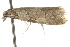  ( - CCDB-20825-E04)  @12 [ ] CreativeCommons - Attribution (2013) CBG Photography Group Centre for Biodiversity Genomics