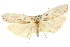  ( - CCDB-20825-F08)  @13 [ ] CreativeCommons - Attribution (2013) CBG Photography Group Centre for Biodiversity Genomics