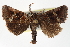  ( - CCDB-20827-B04)  @13 [ ] CreativeCommons - Attribution (2013) CBG Photography Group Centre for Biodiversity Genomics