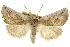  ( - CCDB-20827-E02)  @11 [ ] CreativeCommons - Attribution (2013) CBG Photography Group Centre for Biodiversity Genomics