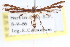  ( - CCDB-20273-C08)  @14 [ ] CreativeCommons - Attribution (2013) CBG Photography Group Centre for Biodiversity Genomics