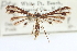  ( - CCDB-20273-C09)  @11 [ ] CreativeCommons - Attribution (2013) CBG Photography Group Centre for Biodiversity Genomics