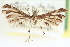  ( - CCDB-20273-C10)  @11 [ ] CreativeCommons - Attribution (2013) CBG Photography Group Centre for Biodiversity Genomics
