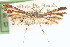  ( - CCDB-20273-C12)  @11 [ ] CreativeCommons - Attribution (2013) CBG Photography Group Centre for Biodiversity Genomics