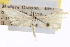  ( - CCDB-20273-F12)  @11 [ ] CreativeCommons - Attribution (2013) CBG Photography Group Centre for Biodiversity Genomics