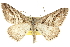  ( - CCDB-20800-B06)  @13 [ ] CreativeCommons - Attribution (2012) CBG Photography Group Centre for Biodiversity Genomics