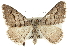  ( - CCDB-20800-C05)  @14 [ ] CreativeCommons - Attribution (2012) CBG Photography Group Centre for Biodiversity Genomics