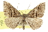  ( - CCDB-20800-C08)  @14 [ ] CreativeCommons - Attribution (2012) CBG Photography Group Centre for Biodiversity Genomics
