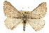  ( - CCDB-20800-D12)  @14 [ ] CreativeCommons - Attribution (2012) CBG Photography Group Centre for Biodiversity Genomics