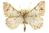  ( - CCDB-20800-F02)  @14 [ ] CreativeCommons - Attribution (2012) CBG Photography Group Centre for Biodiversity Genomics