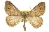  ( - CCDB-20800-F04)  @11 [ ] CreativeCommons - Attribution (2012) CBG Photography Group Centre for Biodiversity Genomics