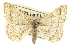  ( - CCDB-20800-F11)  @11 [ ] CreativeCommons - Attribution (2012) CBG Photography Group Centre for Biodiversity Genomics