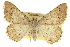  ( - CCDB-20800-G03)  @15 [ ] CreativeCommons - Attribution (2012) CBG Photography Group Centre for Biodiversity Genomics