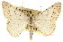  ( - CCDB-20800-G04)  @11 [ ] CreativeCommons - Attribution (2012) CBG Photography Group Centre for Biodiversity Genomics