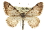  ( - CCDB-20284-A02)  @14 [ ] CreativeCommons - Attribution (2013) CBG Photography Group Centre for Biodiversity Genomics