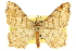  ( - CCDB-20284-C07)  @11 [ ] CreativeCommons - Attribution (2013) CBG Photography Group Centre for Biodiversity Genomics