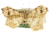  ( - CCDB-20284-C09)  @13 [ ] CreativeCommons - Attribution (2013) CBG Photography Group Centre for Biodiversity Genomics