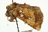  ( - CCDB-20286-C09)  @11 [ ] CreativeCommons - Attribution (2013) CBG Photography Group Centre for Biodiversity Genomics