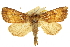  ( - CCDB-20286-C10)  @11 [ ] CreativeCommons - Attribution (2013) CBG Photography Group Centre for Biodiversity Genomics
