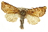  ( - CCDB-20286-D02)  @14 [ ] CreativeCommons - Attribution (2013) CBG Photography Group Centre for Biodiversity Genomics