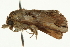  ( - CCDB-20286-E09)  @12 [ ] CreativeCommons - Attribution (2013) CBG Photography Group Centre for Biodiversity Genomics
