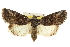  ( - CCDB-20286-H03)  @11 [ ] CreativeCommons - Attribution (2013) CBG Photography Group Centre for Biodiversity Genomics