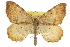  ( - CCDB-20283-A05)  @11 [ ] CreativeCommons - Attribution (2013) CBG Photography Group Centre for Biodiversity Genomics