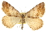  ( - CCDB-20283-B02)  @11 [ ] CreativeCommons - Attribution (2013) CBG Photography Group Centre for Biodiversity Genomics