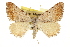  ( - CCDB-20283-C06)  @14 [ ] CreativeCommons - Attribution (2013) CBG Photography Group Centre for Biodiversity Genomics