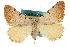  ( - CCDB-20283-C07)  @14 [ ] CreativeCommons - Attribution (2013) CBG Photography Group Centre for Biodiversity Genomics