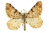  ( - CCDB-20283-D05)  @14 [ ] CreativeCommons - Attribution (2013) CBG Photography Group Centre for Biodiversity Genomics