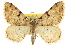  ( - CCDB-20283-D06)  @14 [ ] CreativeCommons - Attribution (2013) CBG Photography Group Centre for Biodiversity Genomics