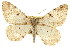  ( - CCDB-20283-D08)  @11 [ ] CreativeCommons - Attribution (2013) CBG Photography Group Centre for Biodiversity Genomics