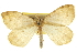  ( - CCDB-20283-F12)  @14 [ ] CreativeCommons - Attribution (2013) CBG Photography Group Centre for Biodiversity Genomics