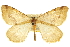  ( - CCDB-20283-G01)  @11 [ ] CreativeCommons - Attribution (2013) CBG Photography Group Centre for Biodiversity Genomics