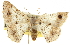  ( - CCDB-20801-B07)  @11 [ ] CreativeCommons - Attribution (2013) CBG Photography Group Centre for Biodiversity Genomics
