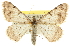  ( - CCDB-20801-B09)  @15 [ ] CreativeCommons - Attribution (2013) CBG Photography Group Centre for Biodiversity Genomics